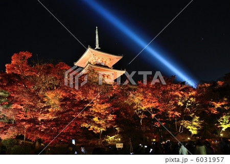 清水寺ライトアップ 清水寺ライトアップ 6031957