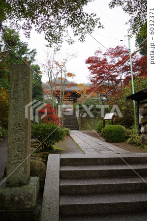 鎌倉　海蔵寺 6032371