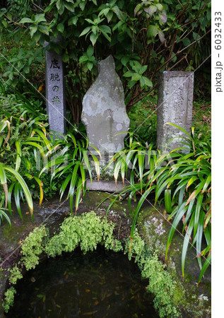 底脱の井 底脱の井 6032433