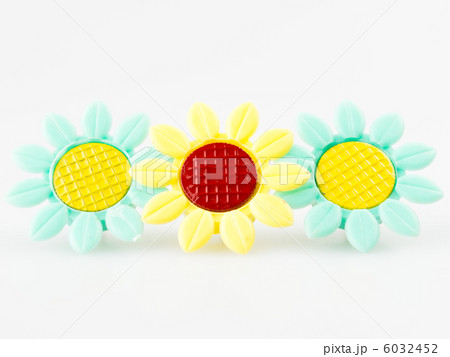 花がらのプッシュピン　白背景 6032452