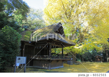玉敷神社　神楽殿－騎西にて 6032503