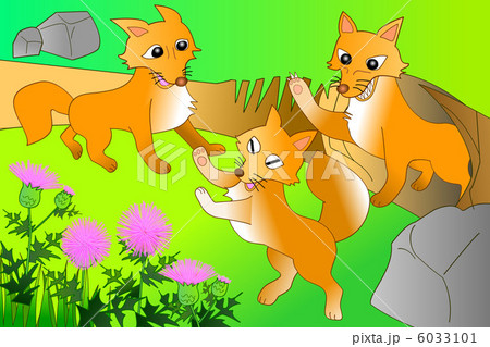 キツネ 巣離れ キツネ 巣離れ 6033101