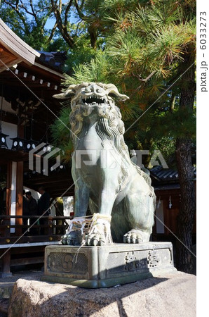 狛犬 6033273