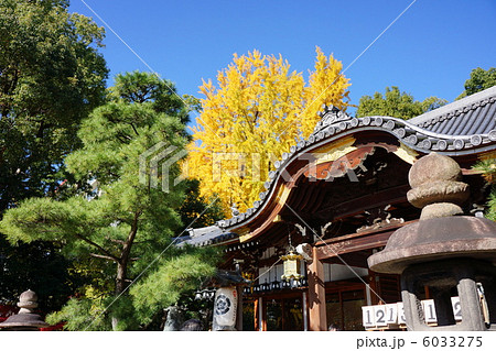 杭全神社 6033275