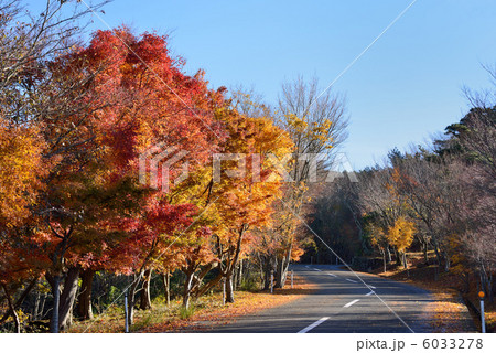 寒霞渓の紅葉 寒霞渓の紅葉 6033278