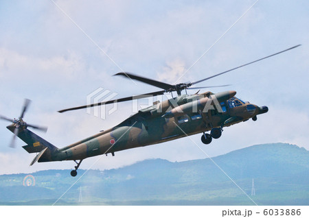 ブラックホーク 6033886