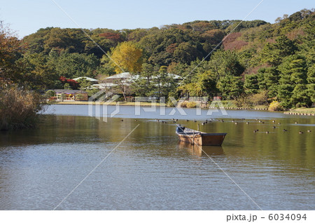 三溪園の池 6034094