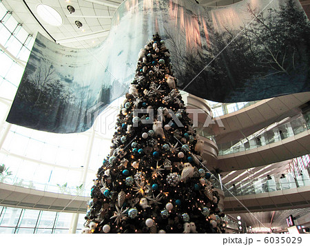 吹き抜けにそそり立つ大きなクリスマスツリーの写真素材