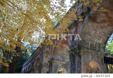 南禅寺 南禅寺 6035165