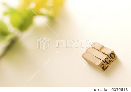はんこ（エコ）と花 6036618