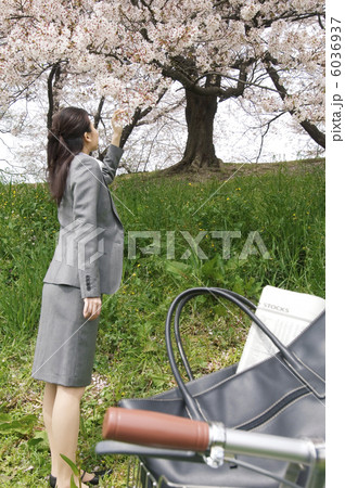 桜を触っているビジネスウーマン 6036937