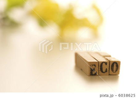 はんこ（エコ）と花 6038625