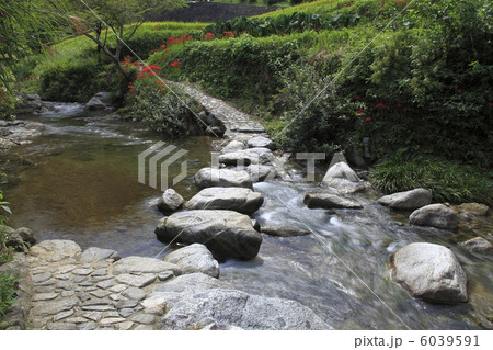 明日香　飛び石 6039591