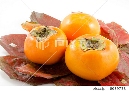 柿の葉の上の甘柿 6039738