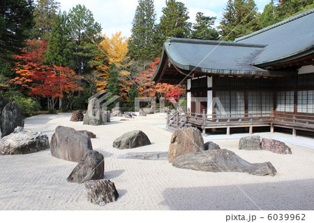 和歌山県　高野山にある総本山金剛峰寺の蟠龍庭の紅葉 6039962