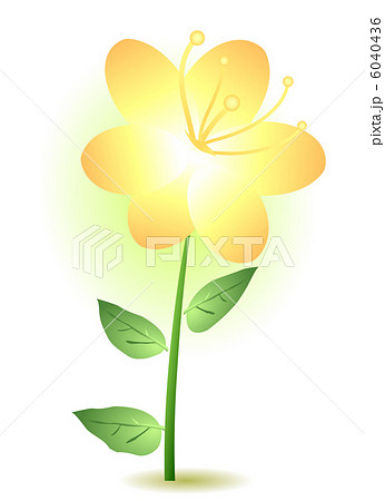 yellow lily 6040436
