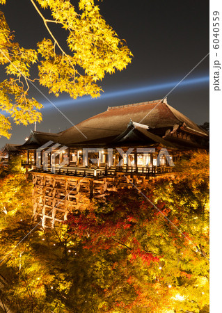 秋の京都音羽山・清水寺の本堂（清水の舞台）ライトアップ 6040559