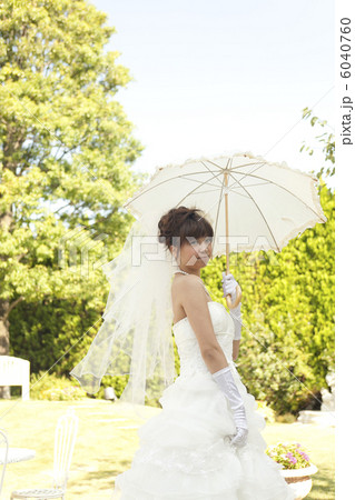 ウエディングイメージ ウエディングイメージ 6040760