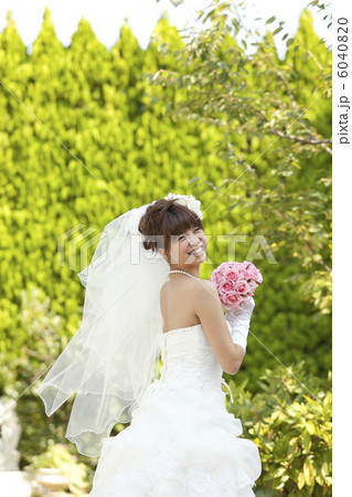 ウエディングイメージ ウエディングイメージ 6040820