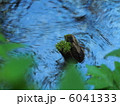 川の流れ 6041333