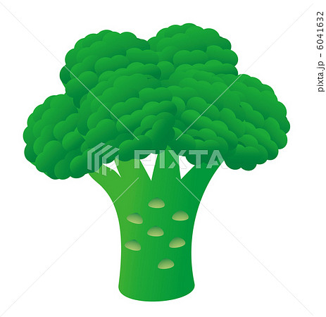 ブロッコリー 6041632