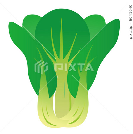 チンゲンサイ 6041640