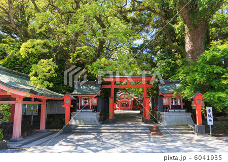 枚聞神社 6041935