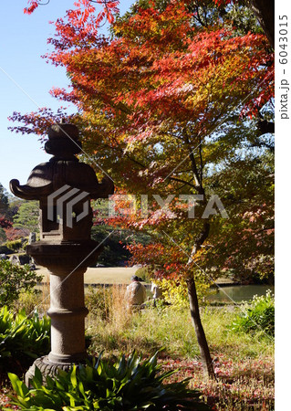 六義園の紅葉 6043015