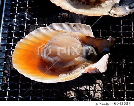 活ホタテ焼き 6043687