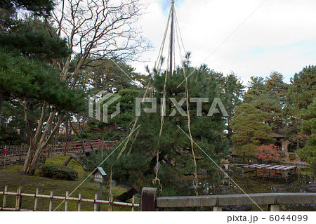 芦城公園 6044099