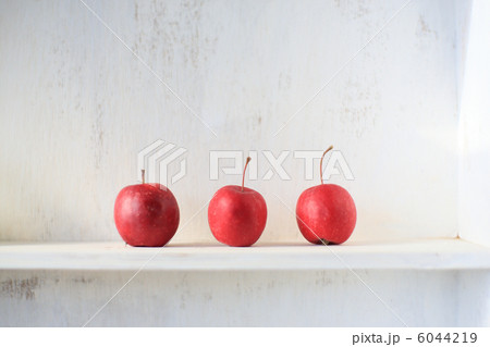 姫林檎01 姫林檎01 6044219