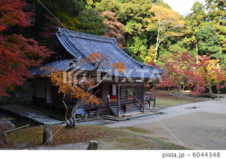 正暦寺 正暦寺 6044348