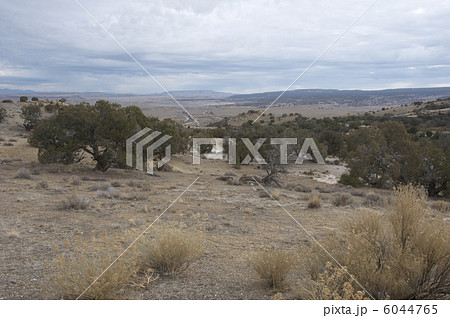 乾燥地帯 6044765