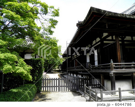 法隆寺 聖霊院 法隆寺 聖霊院 6044786