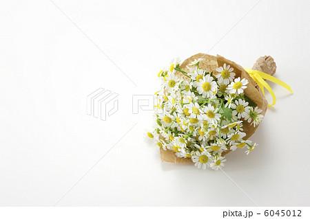 マトリカリアの花束 マトリカリアの花束 6045012