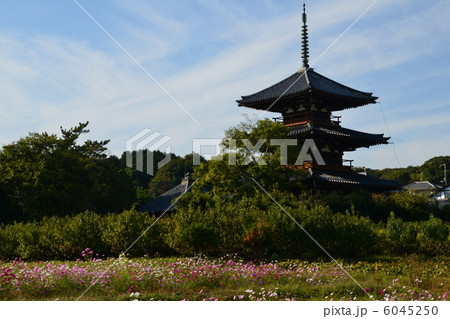 法起寺秋 6045250