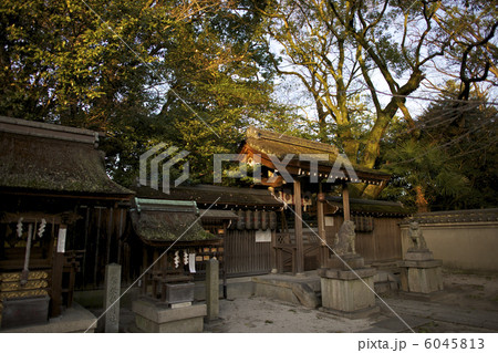 京都の宗像神社 6045813