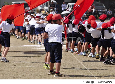 綱引き 綱引き 6045899