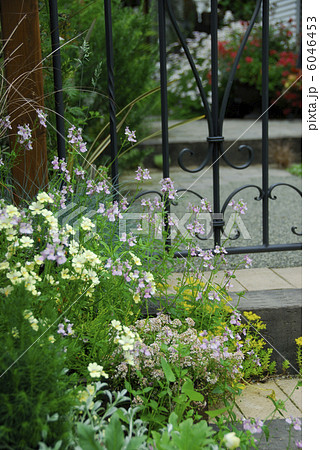 アイアン門扉 6046453