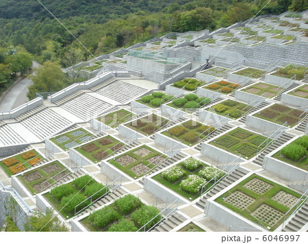淡路夢舞台 百段苑、花壇 淡路夢舞台 百段苑、花壇 6046997