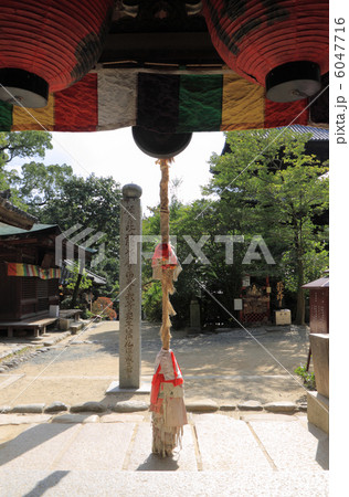 四国霊場第51番札所「石手寺」大師堂堂内より外を見る 四国霊場第51番札所「石手寺」大師堂堂内より外を見る 6047716