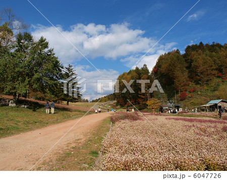 ヘブンスそのはらにて ヘブンスそのはらにて 6047726