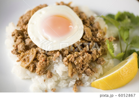 ガッパオ 6052867