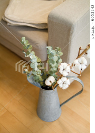 ドライフラワー ドライフラワー 6053242