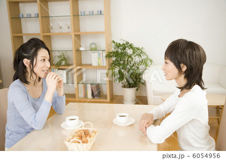 お茶をしながら談笑する20代と30代主婦 6054956