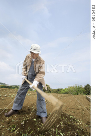 畑を耕すシニア男性 6055483