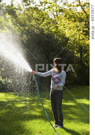 芝生に水撒きをする女性 芝生に水撒きをする女性 6055677