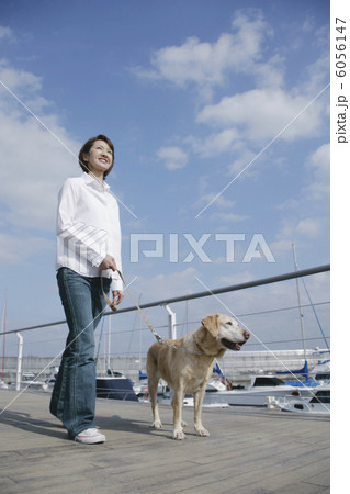 ラブラドール・レトリーバーと女性 6056147