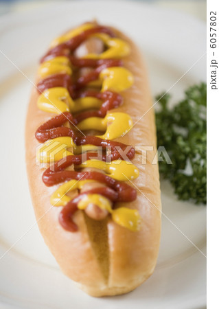 ホットドッグ ホットドッグ 6057802