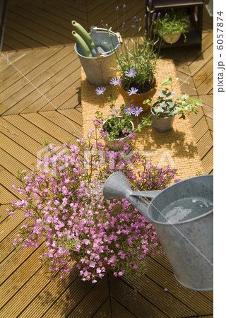 花に水をやる 6057874